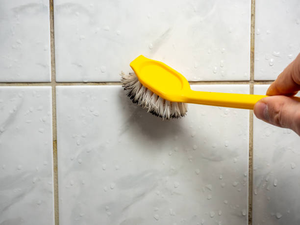 Best Fast Mold Removal  in Altadena, CA