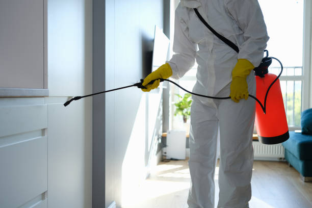Best Residential Mold Removal  in Altadena, CA