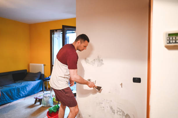 Best Affordable Mold Removal  in Altadena, CA