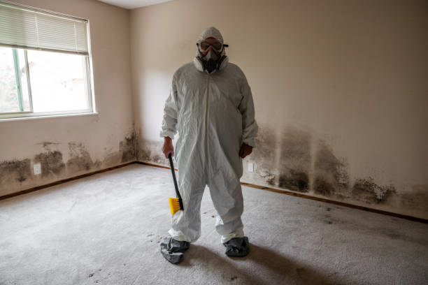Best Residential Mold Removal  in Altadena, CA