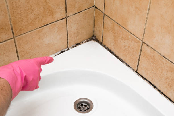 Best Mold Testing  in Altadena, CA